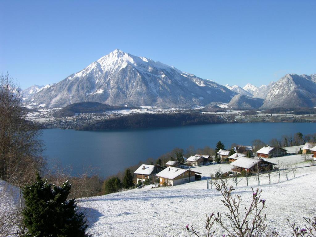 Hotel Restaurant Panorama Thun Rum bild